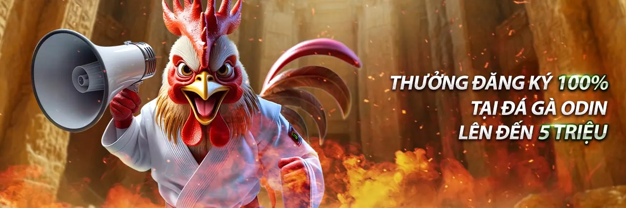 Cá cược thể thao trực tiếp đỉnh cao tại 66b Casino