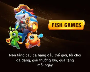 Hình ảnh minh họa các quy tắc cá cược và sự công bằng trong trò chơi tại 66b casino.com