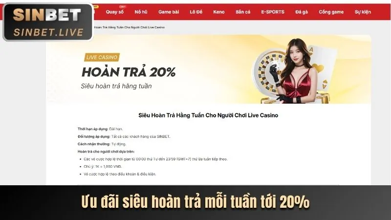 Cập nhật khuyến mãi và hướng dẫn nhận thưởng tại 66b casino.com